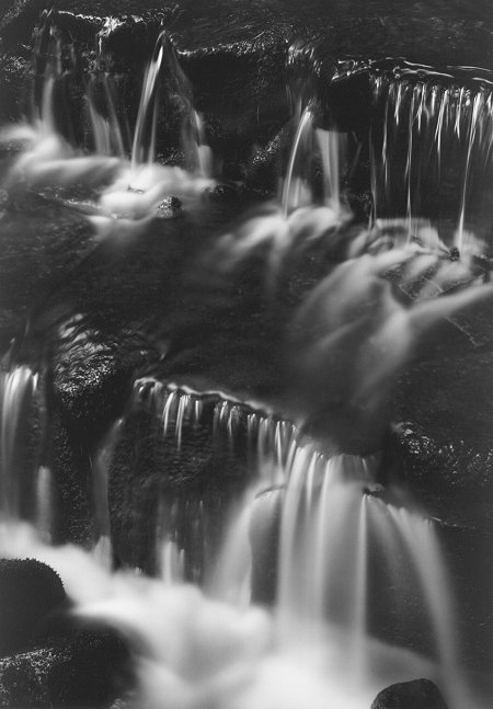 ansel adams yosemite. Ansel Adams, Fern Spring, Dusk