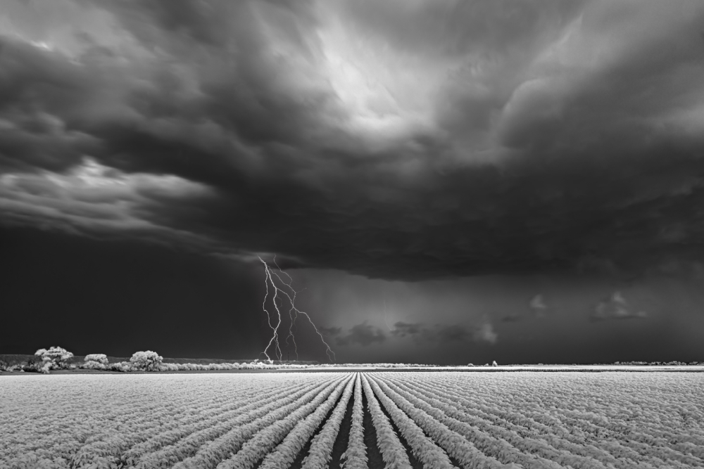 Mitch Dobrowner, Lightning/Cotton Field | Afterimage Gallery