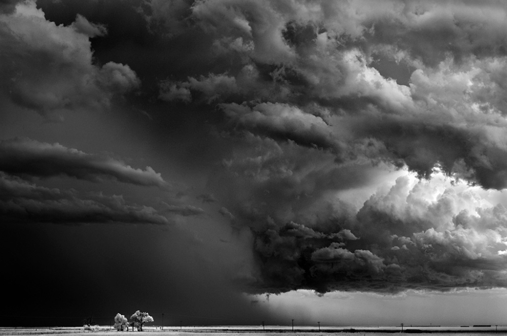 Mitch Dobrowner, Trees-Clouds | Afterimage Gallery