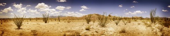 James Evans, Ocotillo Panoramic