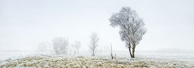 David J. Osborn, Frozen Trees, Glen Coe