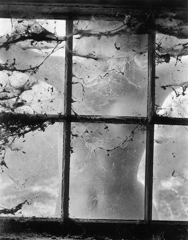 Wynn Bullock, Nude behind Cobwebbed Window