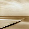 Palm Beach--Pier Abstraction
