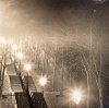 Paris--Fog, Stairway