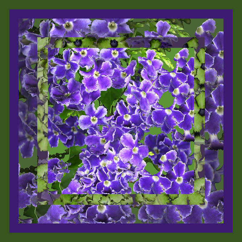 Carolyn Brown, Lavender and Green Squares