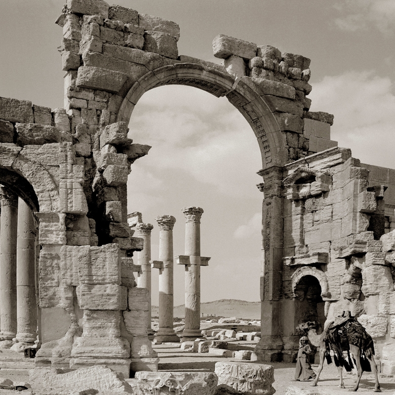 Carolyn Brown, Camel and Boy, Palmyra | Afterimage Gallery
