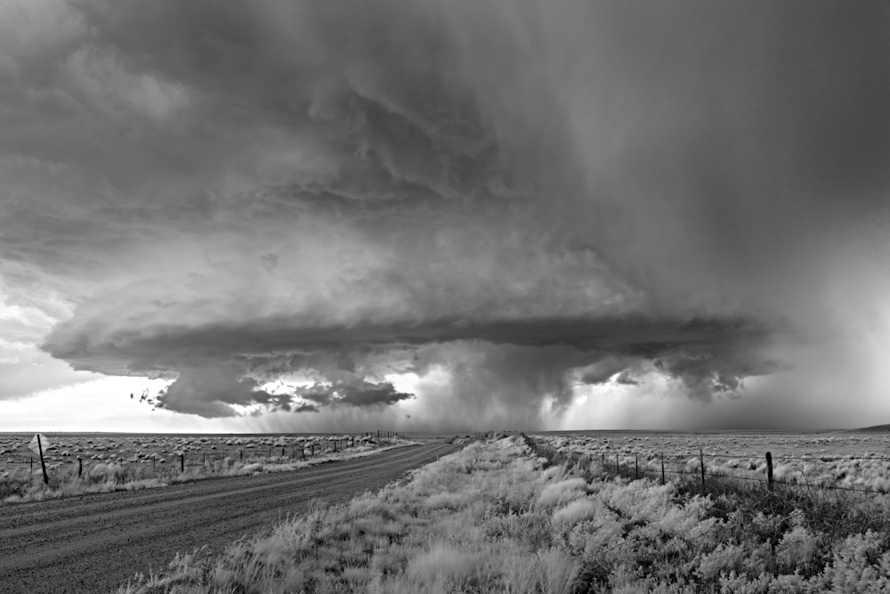Mitch Dobrowner, Mushroom and Road | Afterimage Gallery