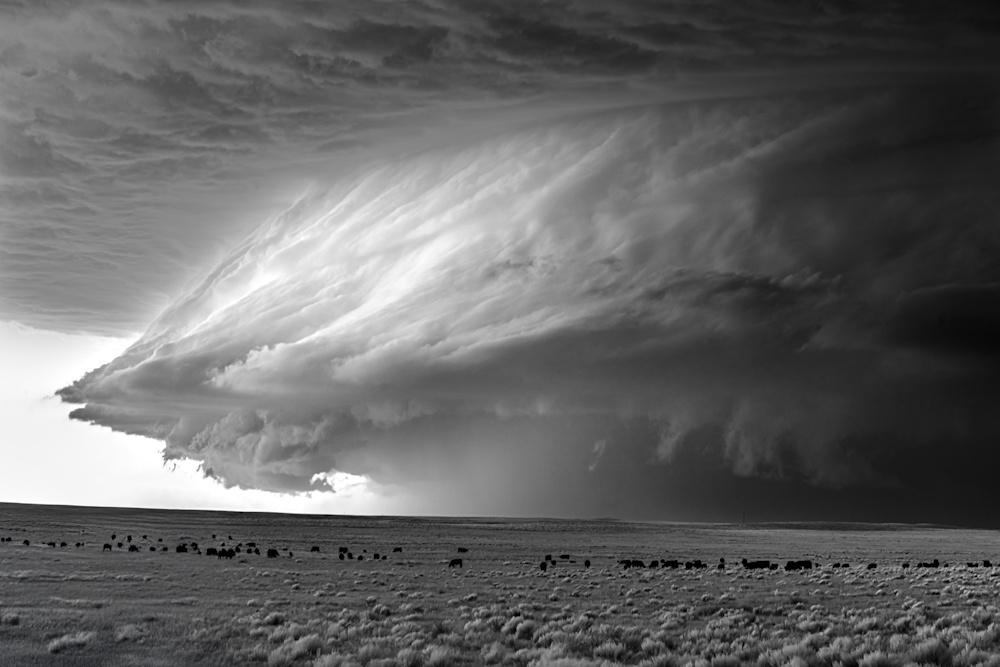 Mitch Dobrowner, Supercell over Northern Plains | Afterimage Gallery