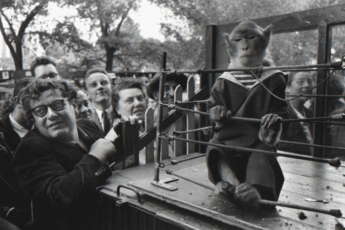 Robert Doisneau, Les Animaux Supérieurs | Afterimage Gallery