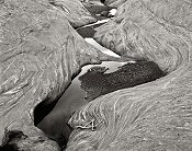 Fry Canyon, Utah