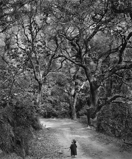 Wynn Bullock, Child on Forest Road
