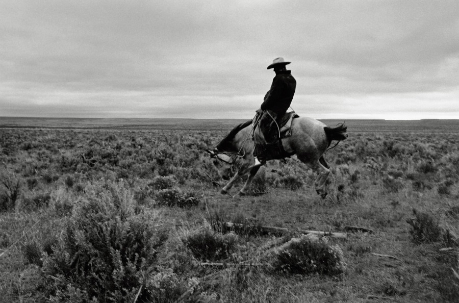 John Langmore | Photographs of the American Cowboy