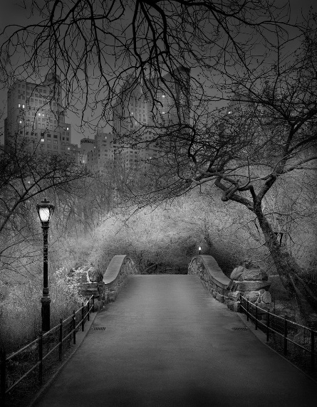Michael Massaia, Deep in a Dream-Central Park, Gapstow Bridge