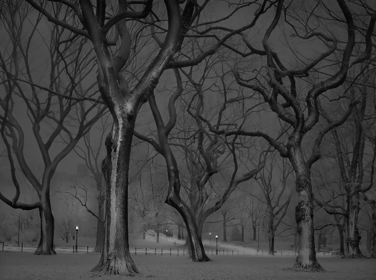 >Michael Massaia, Deep in a Dream-Central Park, The Mall
