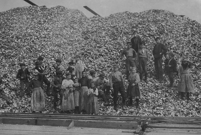 Lewis Hine, Oyster Shuckers | Afterimage Gallery