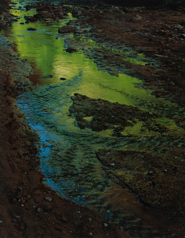 Eliot Porter, Green Reflections in Stream