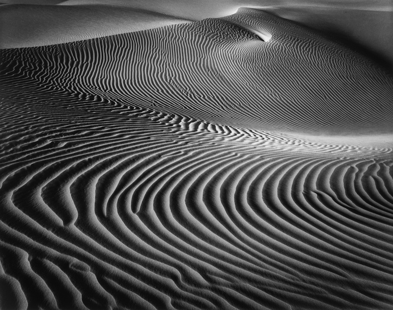 Bruce Barnbaum, Elegant Dune | Afterimage Gallery