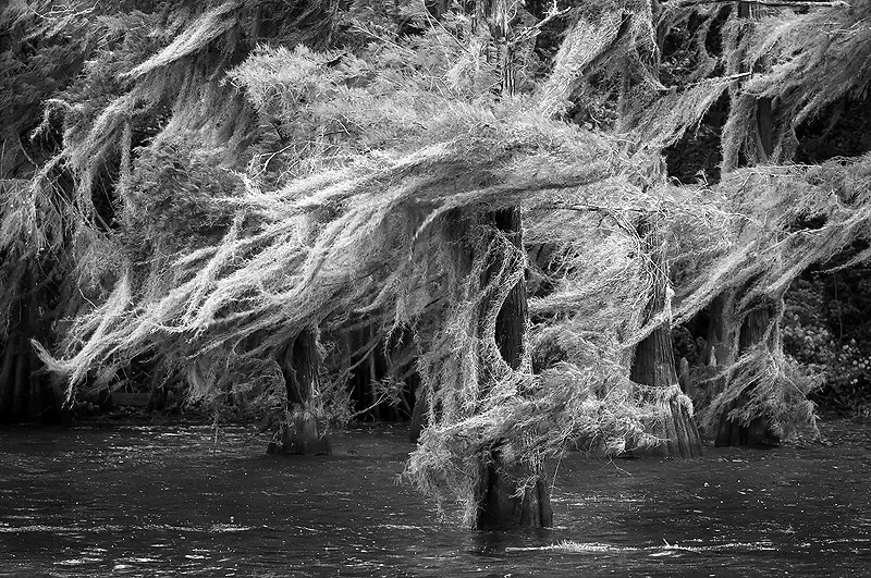 Jenny Ellerbe, Rita's Wind | Afterimage Gallery