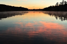Lew Wilson, Your Suwannee River | Afterimage Gallery
