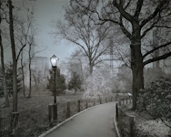 Michael Massaia, First Bloom | Afterimage Gallery