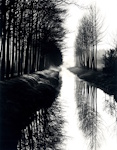 Brett Weston, Holland Canal | Afterimage Gallery