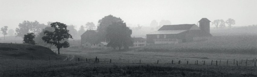 George Tice, Farm in Mist | Afterimage Gallery