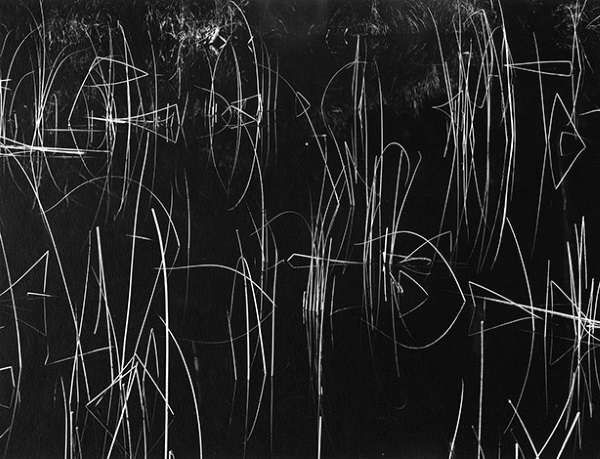 Brett Weston, Reeds, Oregon | Afterimage Gallery