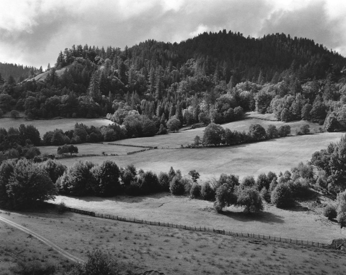 Edward Weston, Eel River Ranch | Afterimage Gallery