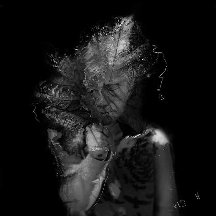 Angela Bacon-Kidwell, Algebra of Darkness