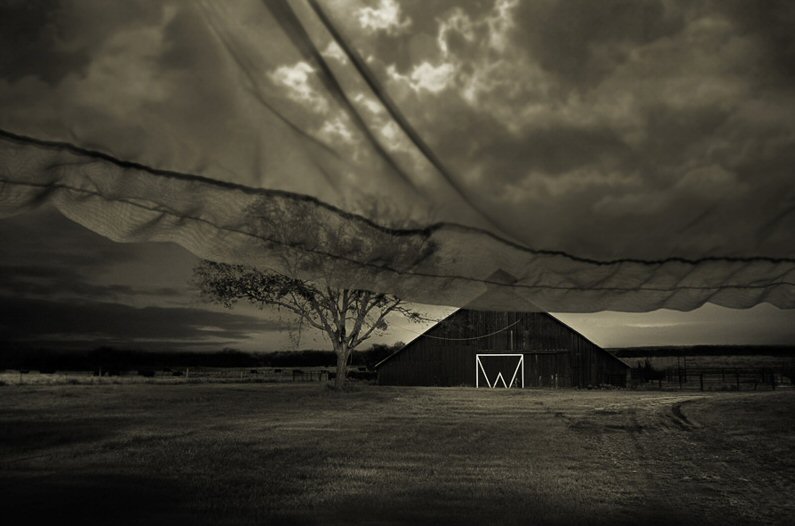 Angela Bacon-Kidwell, Beyond Memory