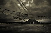 Angela Bacon-Kidwell, Beyond Memory