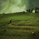 Angela Bacon-Kidwell, Farmers Play