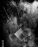 Angela Bacon-Kidwell, Frozen Wishes