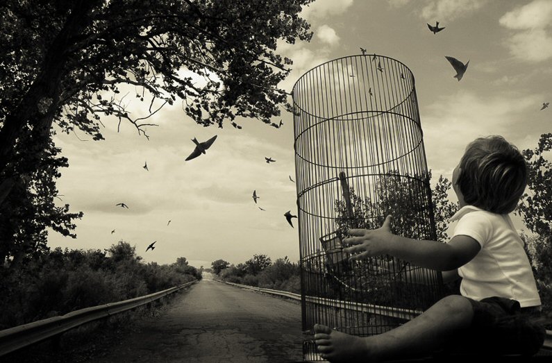 Angela Bacon-Kidwell, Love without Hope