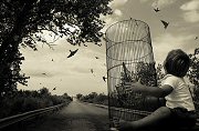 Angela Bacon-Kidwell, Love without Hope