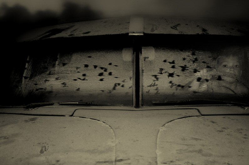 Angela Bacon-Kidwell, Night Hunt