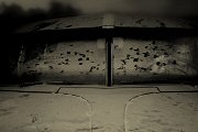 Angela Bacon-Kidwell, Night Hunt