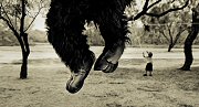 Angela Bacon-Kidwell, Secrets of Children