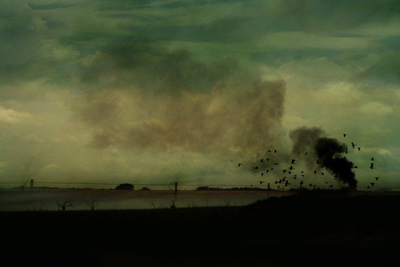 Angela Bacon-Kidwell, Untitled 13