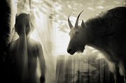 Angela Bacon-Kidwell, Untitled 3
