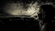 Angela Bacon-Kidwell, Untitled 5