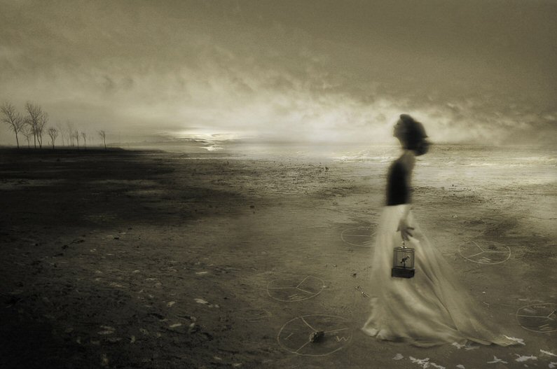 Angela Bacon-Kidwell, Wishing to Fly
