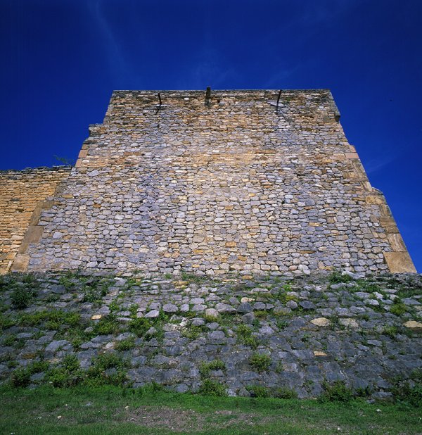 Back View and Early Structure