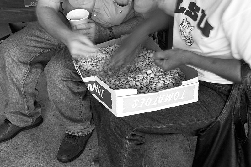 Jenny Ellerbe, Butterbean Sorting