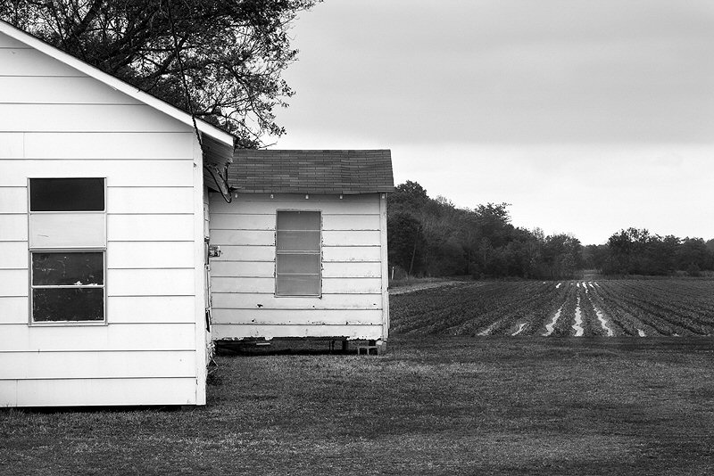 Jenny Ellerbe, Church, Furrows