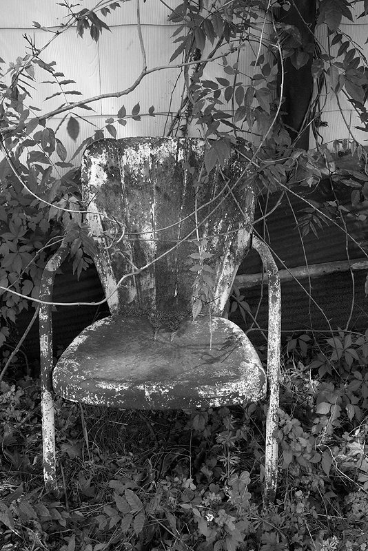 Jenny Ellerbe, Grandma's Chair
