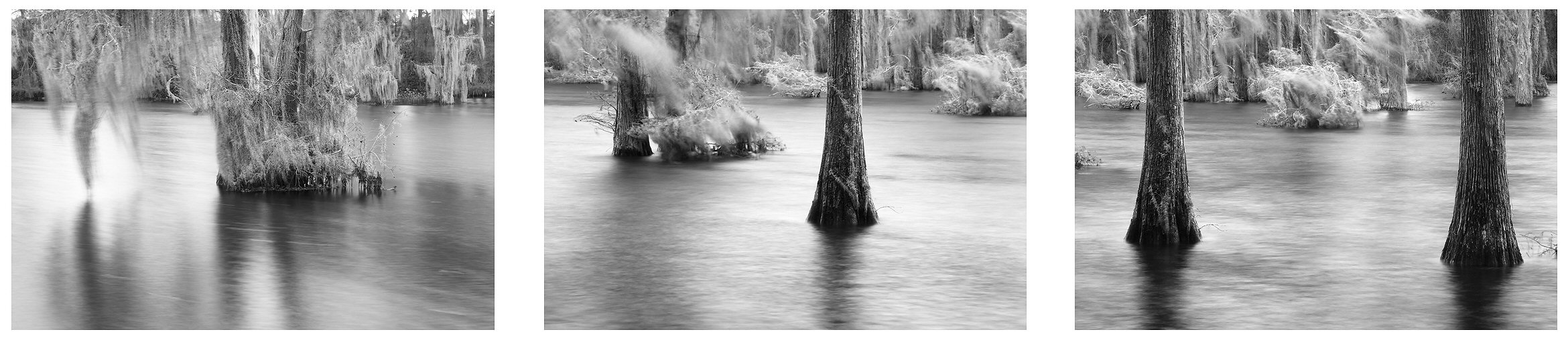 Jenny Ellerbe, Bayou Desiard Wind