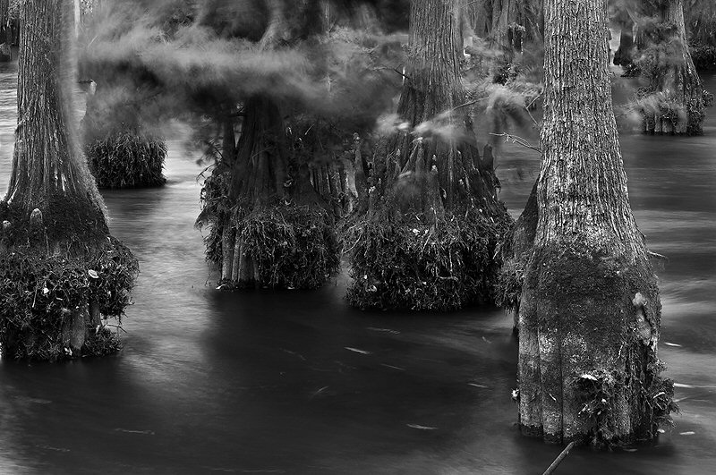 Jenny Ellerbe, Drought Before Rita, Study 3