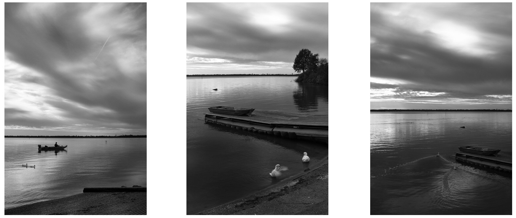 Jenny Ellerbe, Evening at Bussy Brake