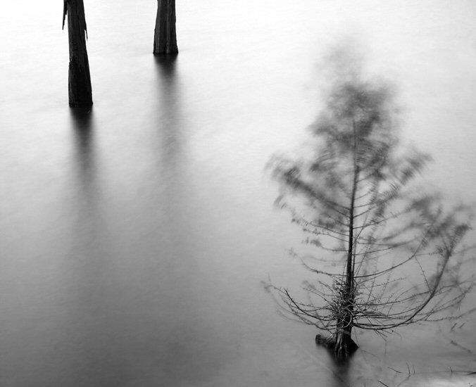Jenny Ellerbe, Flailing, Hamilton Lake